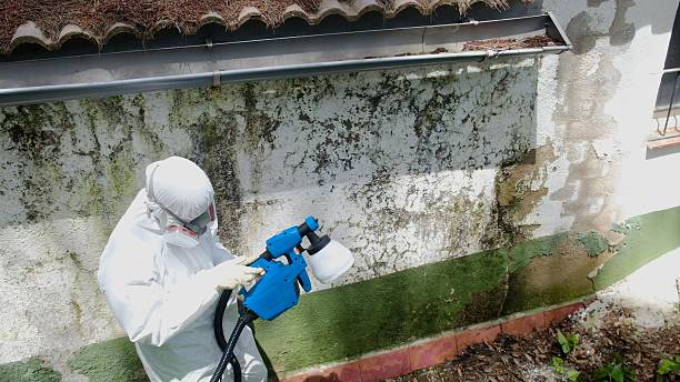 Top rated local Commercial Mold Remediation specialists in New Park, PA